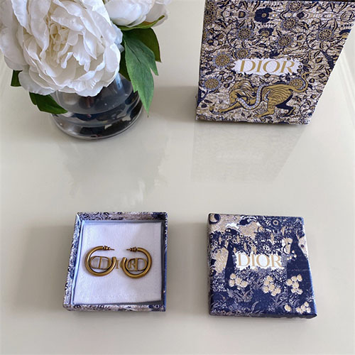 디올 귀걸이 D5520 2023/신상 (정품과 비교가능한 퀄리티)