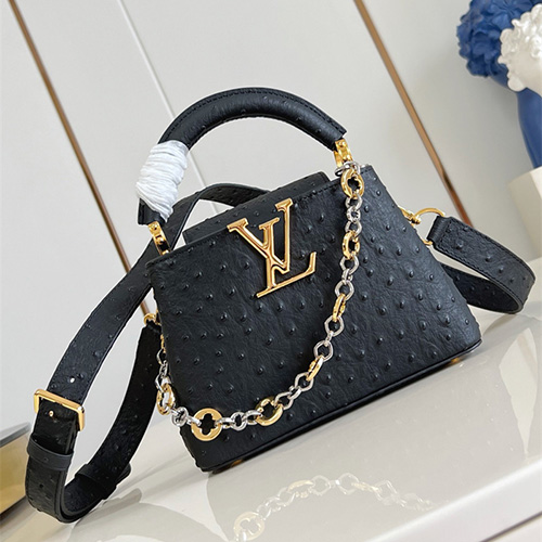 루이비통 카푸신 미니 M48865 2025/신상