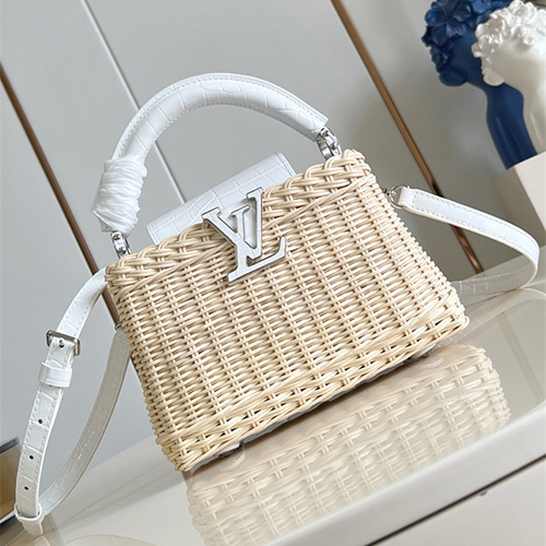 루이비통 카푸신 미니 M48865 2025/신상