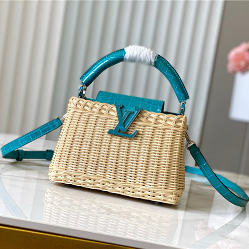 루이비통 카푸신 미니 M48865 2025/신상