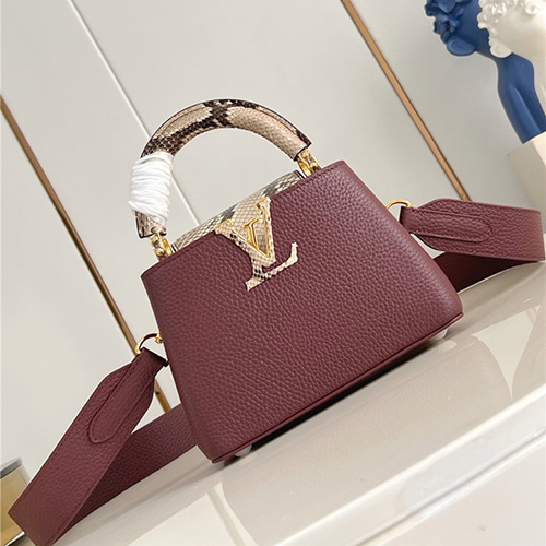 루이비통 카푸신 미니 M48865 2025/신상