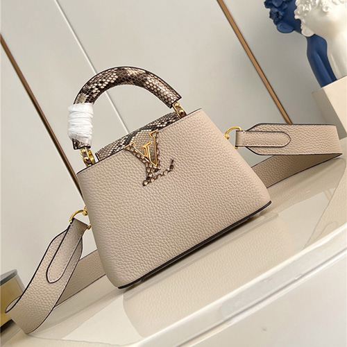 루이비통 카푸신 미니 M48865 2025/신상